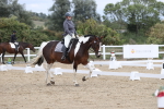 SBM_002992