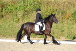 3E7A4197