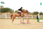 SBM_001611