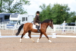 SBM_00325