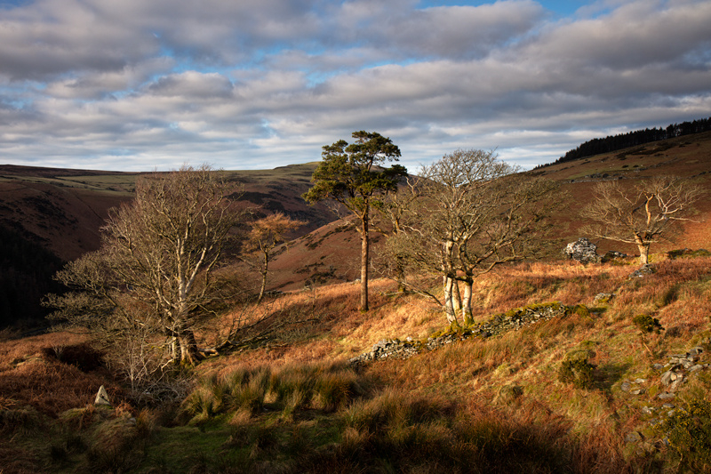 Ballaskella in the sun