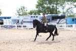 SBM_17553