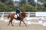 SBM_003808