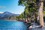 Lazise Shore