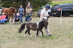 WJ6_5685