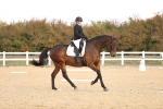 SBM_009564