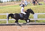 BPP_2343