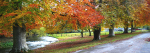 Autumn in the Vale