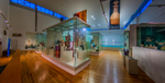 Ulster Museum (Belfast) IV