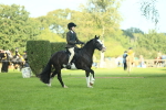 SBM_42004