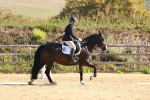 SBM_009877