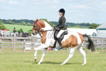 SBM_17587