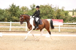 SBM_008748