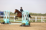 SBM_001011