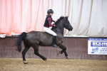 SBM_005647