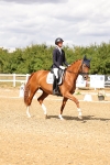 SBM_006267