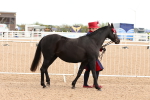 SBM_10173