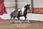 JAC_5418