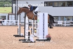 BPP_5035