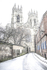 WINTERS MORNING YORK MINSTER FROM PRECENTOR'S COURT