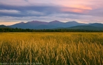 Jefferson Meadows