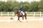 SBM_01033