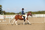 SBM_02219
