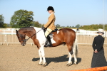 SBM_01223