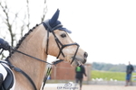 663-Gemma.Hart-CHEDA'S.STAR portfolio