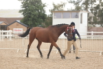 SBM_07618