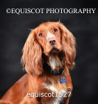 equiscot1527