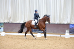 SBM_001161