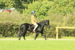 SBM_66397
