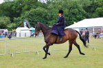 SBM_02735