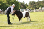 SBM_02010