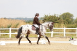 SBM_002735