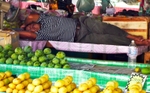 Siesta time in Borneo