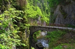 Western Rhodopes Mountains, Smolyan Province, Bulgaria