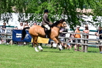 SBM_08006