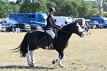 WJ6_8212