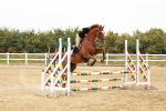 SBM_008499