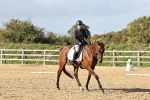 SBM_002444