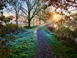 Early November morning ~ Blackwater & Chelmer Canal