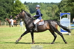 Cls 25 Snr British Novice and 90cm portfolio