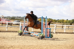 SBM_006572