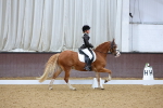 SBM_004205