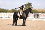 SBM_03483