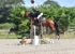 BPP_3794