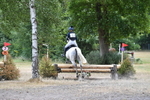 WJ5_1355