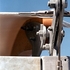 Canopy Detail